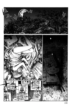 Page 255 of Becchin and Mandara