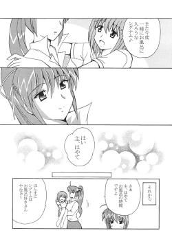 Page 17 of Mahou Shoujo Lyrical Nanoha Adult Stage 01