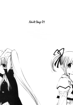 Page 2 of Mahou Shoujo Lyrical Nanoha Adult Stage 01