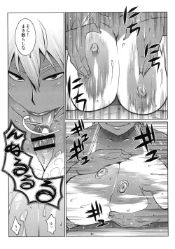 Page 14 of Shinzui EARLY SUMMER ver. Vol. 2