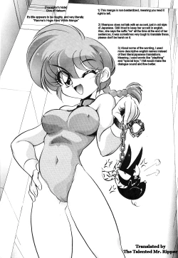 Page 3 of DX Deluxe Chuuka Sanmai