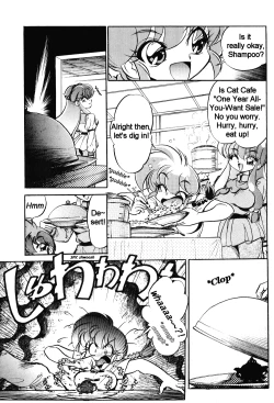 Page 6 of DX Deluxe Chuuka Sanmai