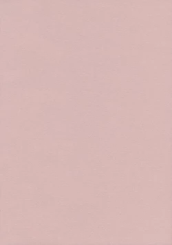 Page 2 of Lunchi Pack