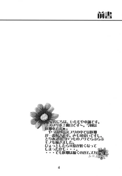 Page 3 of Oniisama e... Sister Princess "Sakuya" Book