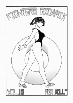 Page 2 of FIGHTERS GiGaMIX FGM vol.19