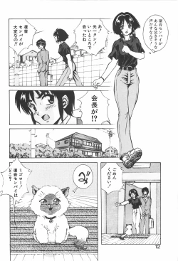 Page 11 of RINNE CRISIS