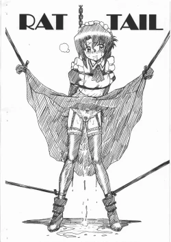 Page 10 of HAYATE FILE Maria Gazoushuu