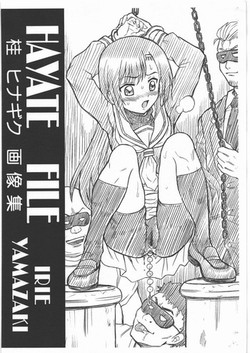 Download HAYATE FILE Katsura Hinagiku Gazoushuu