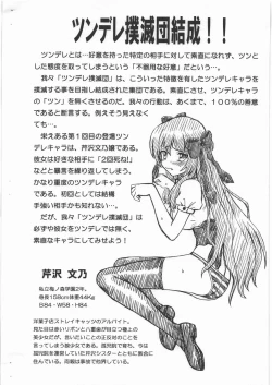Page 2 of MAYOINEKO FILE Serizawa Fumino Gazoushuu