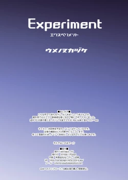 Page 17 of Experiment