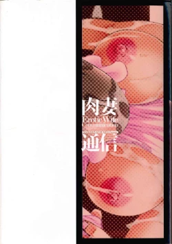 Page 3 of Nikuzuma Tsuushin - Erotic Wife Communication