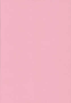 Page 3 of Hofukuzenshin to Shuryuudan