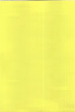 Page 161 of Powerful Mazegohan vol 1