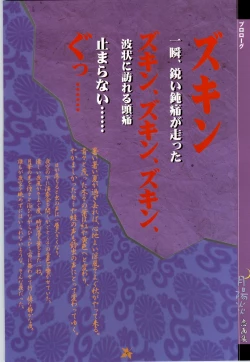 Page 17 of Tsuki Kagerou renga syou