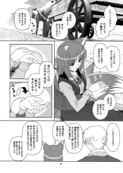 Page 26 of Ookami to Mimi to Shippo