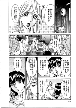 Page 173 of Hitomi no Karte 3