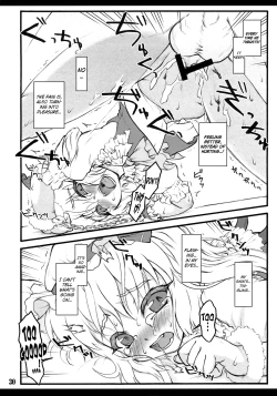 Page 29 of Flandre