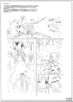 Page 4 of nanO RAISER