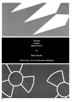 Page 10 of TOHO N+ QF