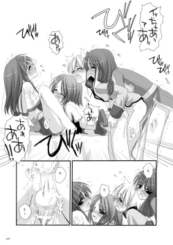 Page 206 of DL-RO Perfect Collection No.01