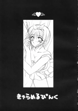 Page 3 of Caramel Pink