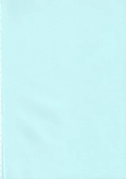 Page 4 of Megamitachi No Kyuujitsu