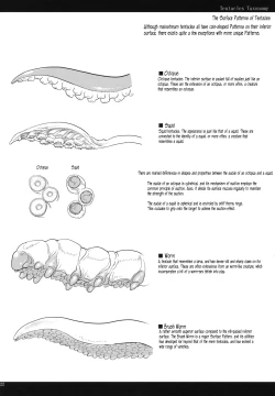 Page 21 of LIMB LEGION