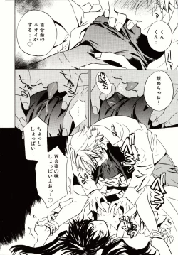 Page 12 of Biyaku Maid