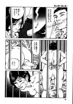 Page 47 of Hana to Hebi 3