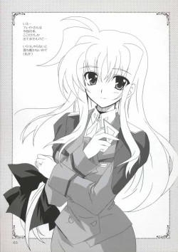 Page 3 of Mahou Shoujo MAGICAL SEED No.Due (Mahou Shoujo Lyrical Nanoha