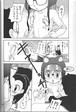 Page 23 of Project Arale 2