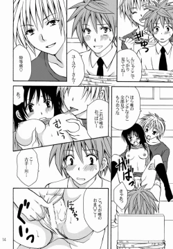 Page 14 of Watashi to Kare to Onii-chan