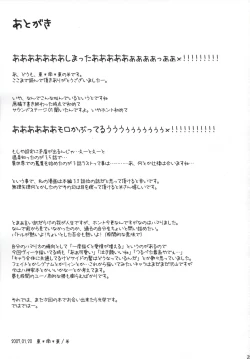 Page 24 of Vita-chan no Shuushuu Nikki