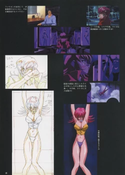 Page 23 of VIPER Series Official Artbook IV