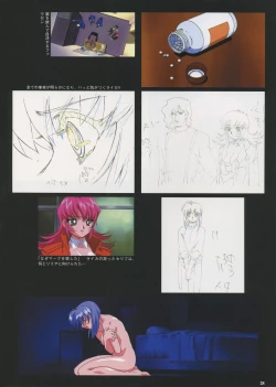 Page 30 of VIPER Series Official Artbook IV