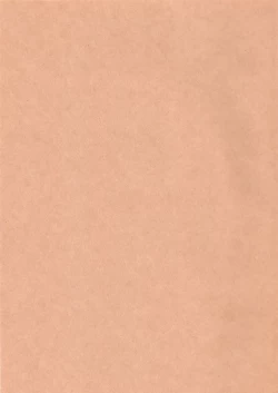 Page 2 of - Sakura Ranbu Den!