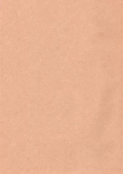 Page 3 of - Sakura Ranbu Den!