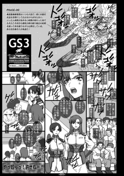 Page 3 of GS3