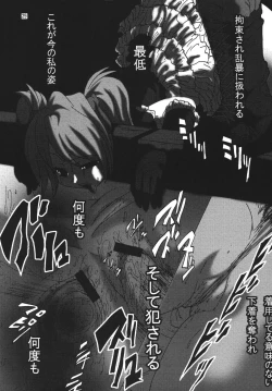 Page 28 of Hokangokko XX