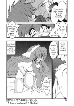 Page 43 of Alchemy no ShizukuVolume 01