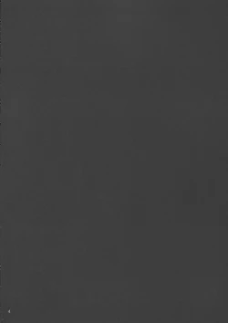 Page 4 of Secret training