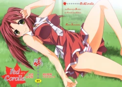 Page 213 of Red Corolla Shokai Genteiban