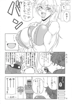 Page 15 of Bubun ga Bushinden 4 Soushuuhen