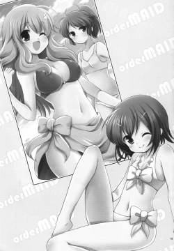 Page 19 of order MAID