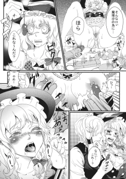 Page 14 of Marisa no Dokidoki Ascension