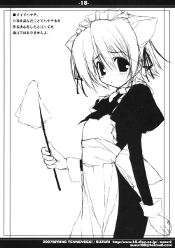 Page 18 of HAYATE IN WONDERLAND