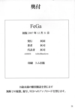 Page 33 of FeGa