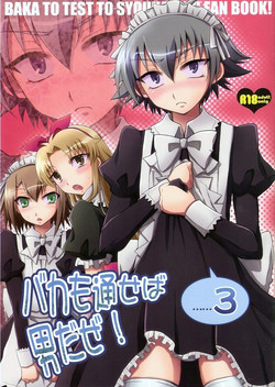 Download Baka mo Toose ba Otoko daze! 3