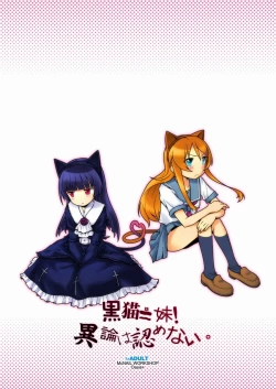 Page 26 of Kuroneko = Imouto! Iron wa Mitomenai.