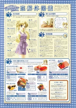 Page 36 of Canvas Visual Fan Book